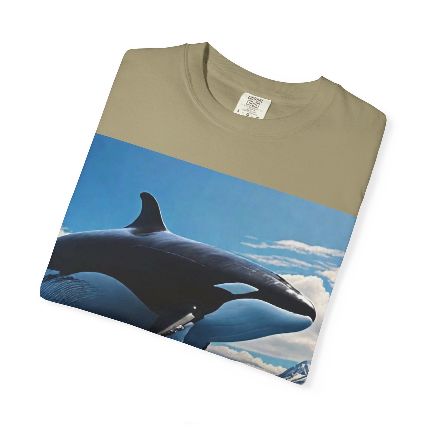 FlyerThanFlyingSaucers