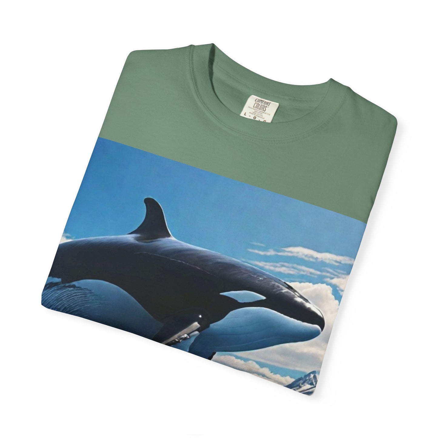 FlyerThanFlyingSaucers
