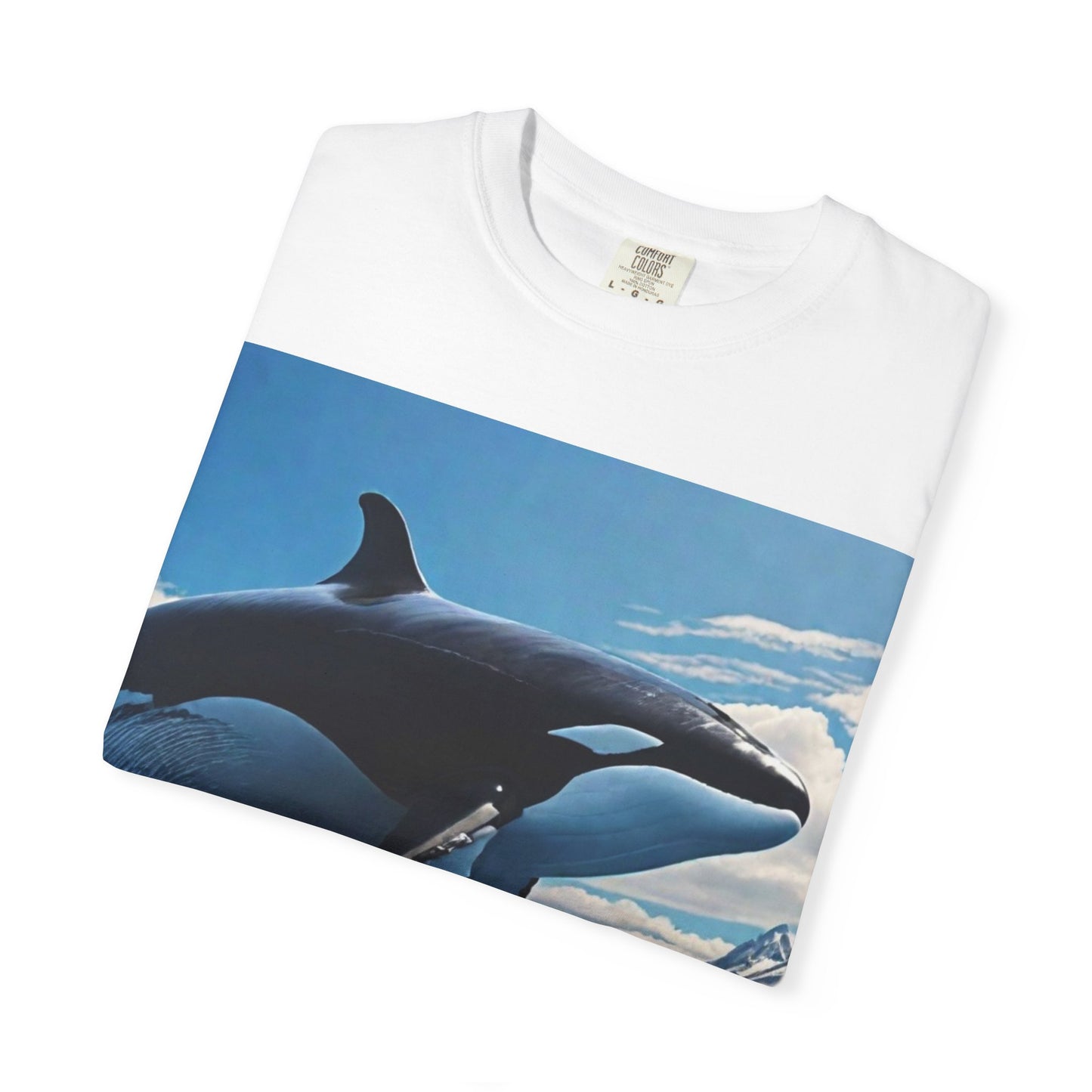 FlyerThanFlyingSaucers