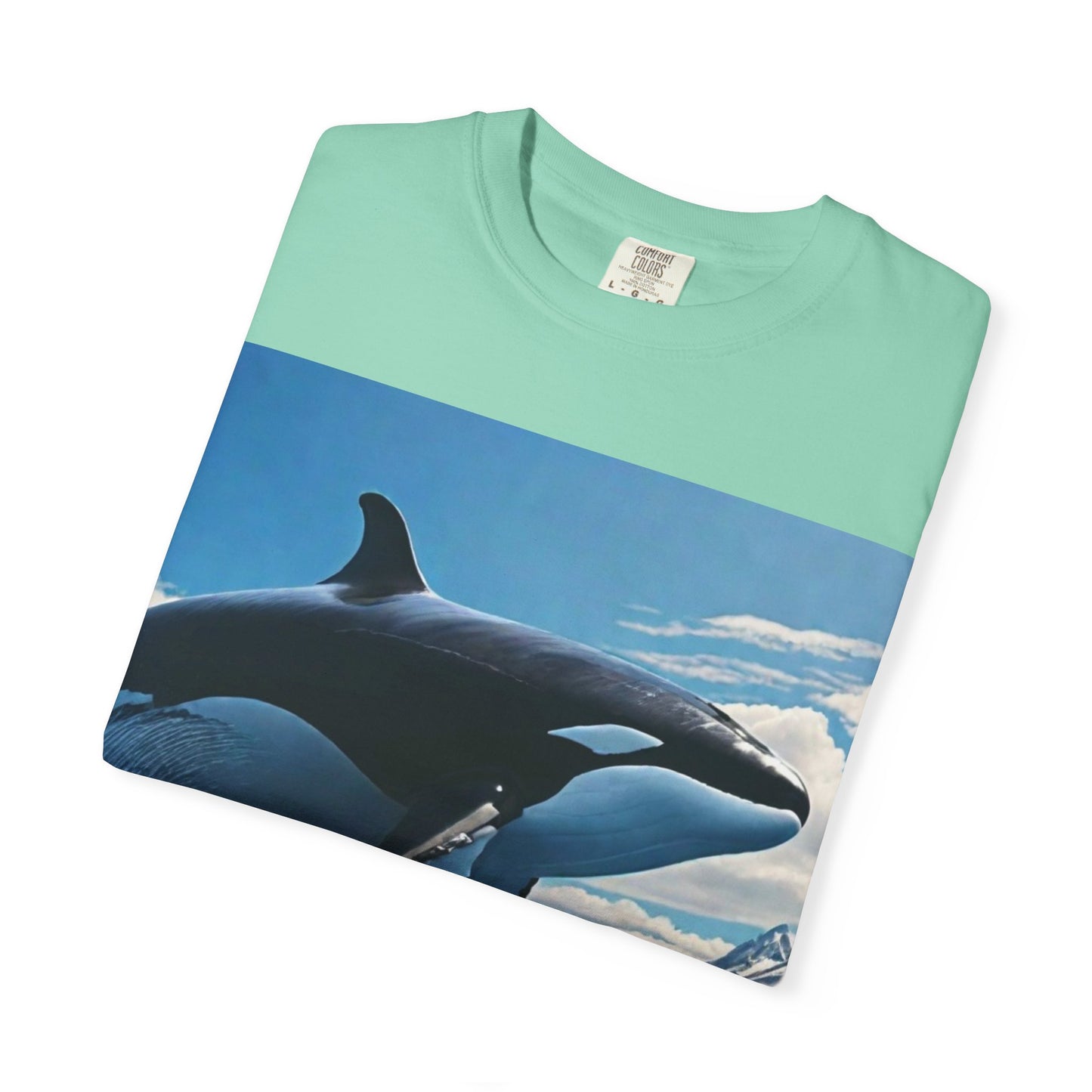 FlyerThanFlyingSaucers