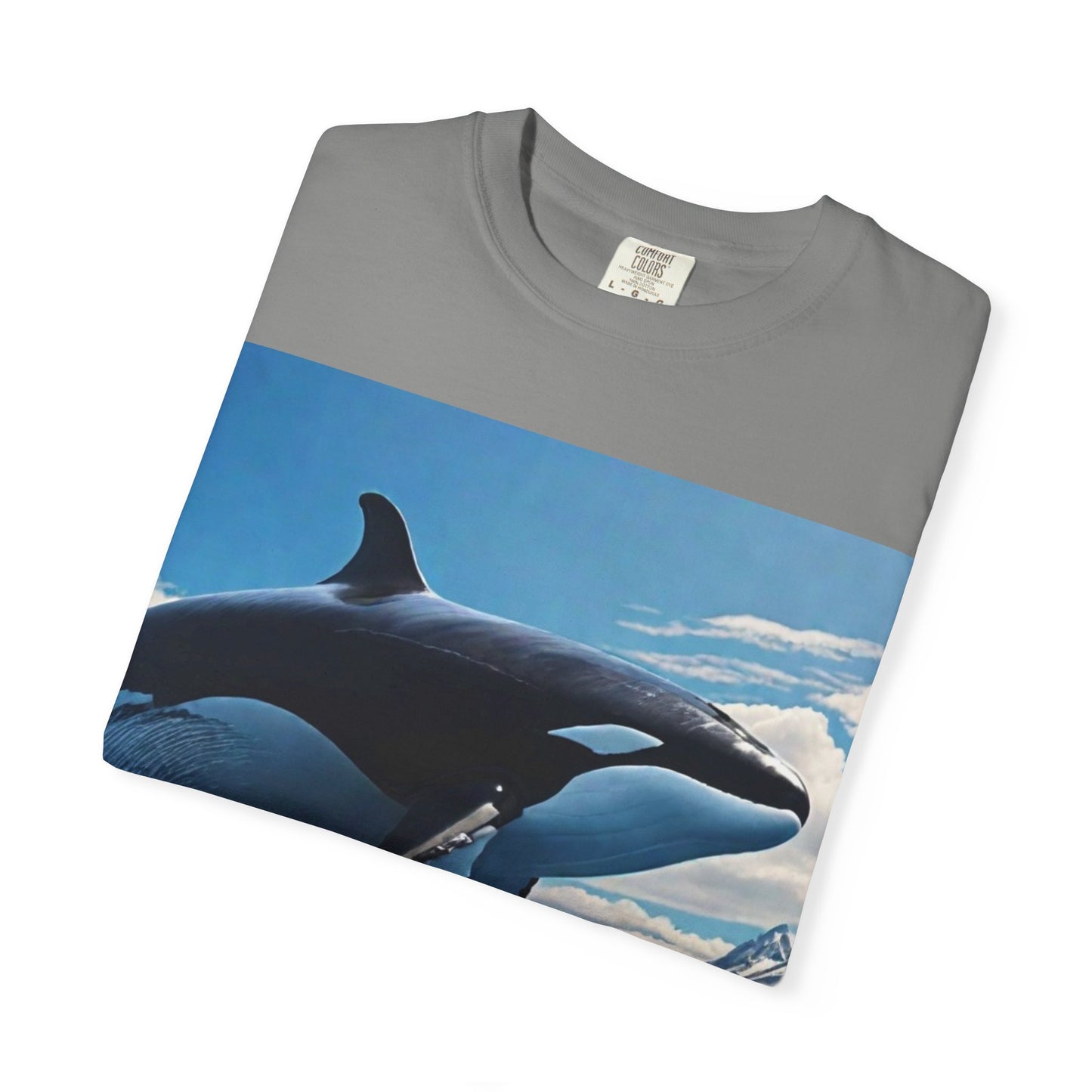 FlyerThanFlyingSaucers