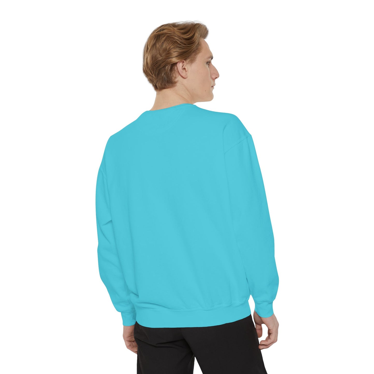 BalerinaNebula Sweatshirt