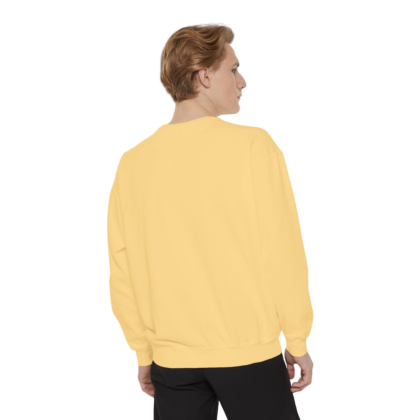 BalerinaNebula Sweatshirt