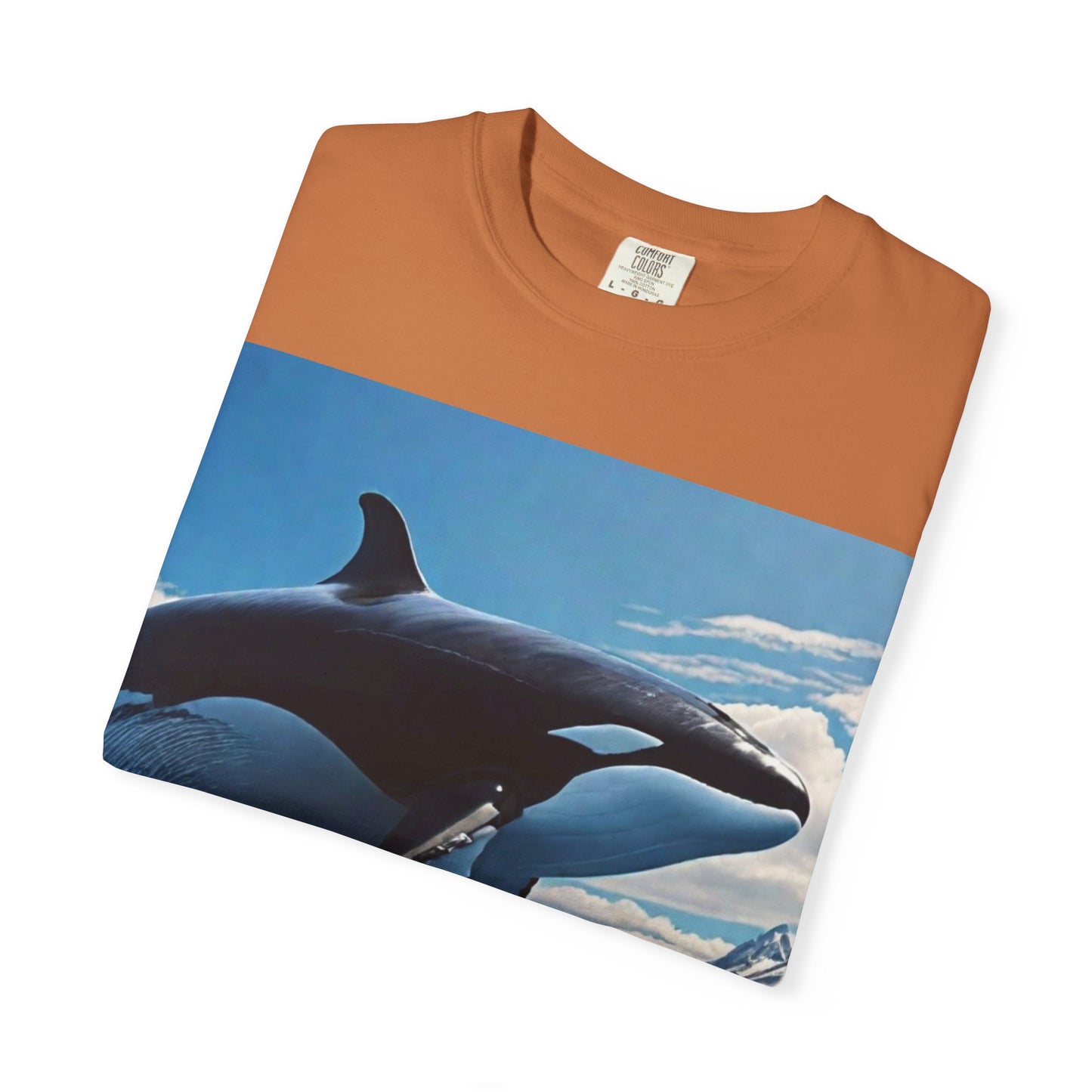 FlyerThanFlyingSaucers