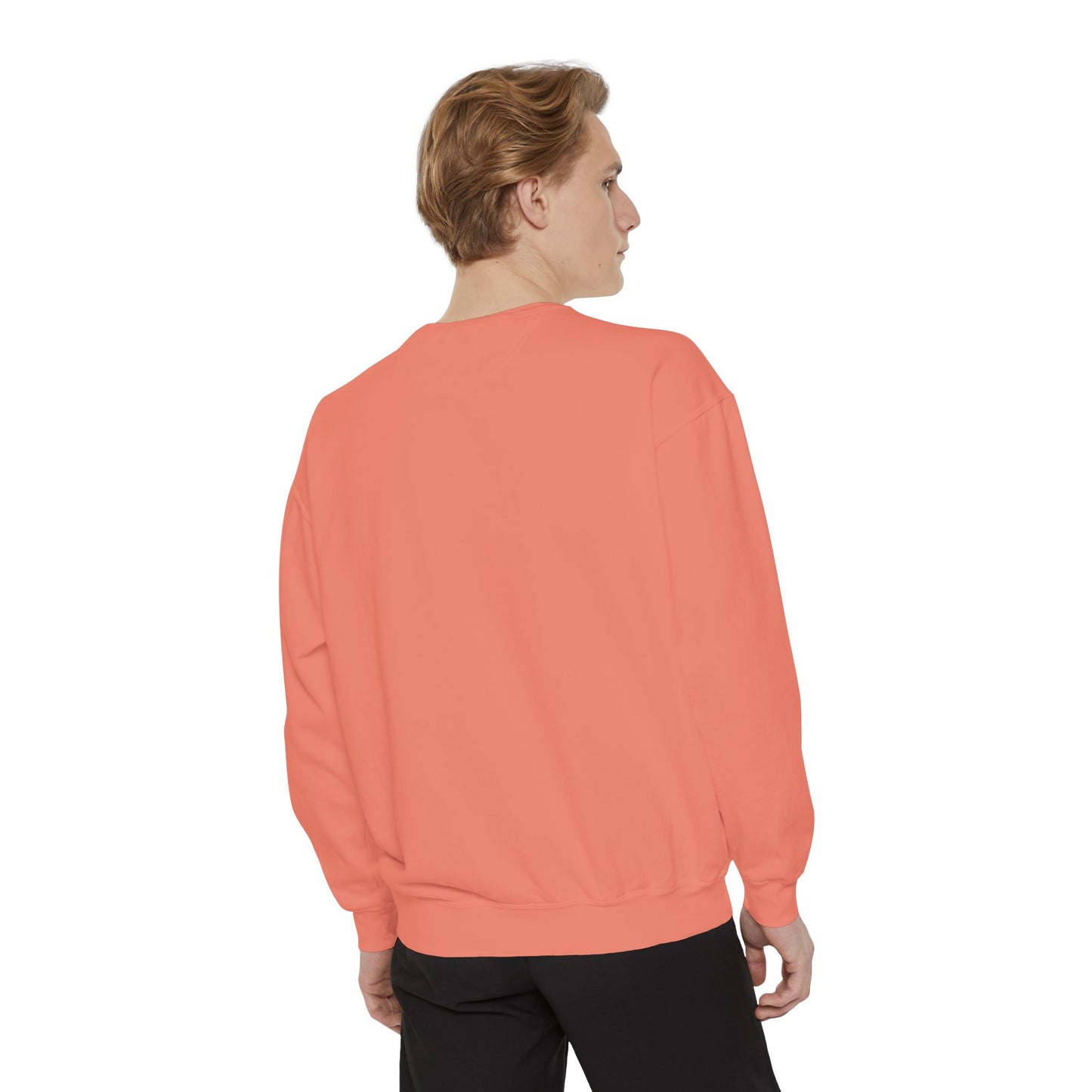 BalerinaNebula Sweatshirt