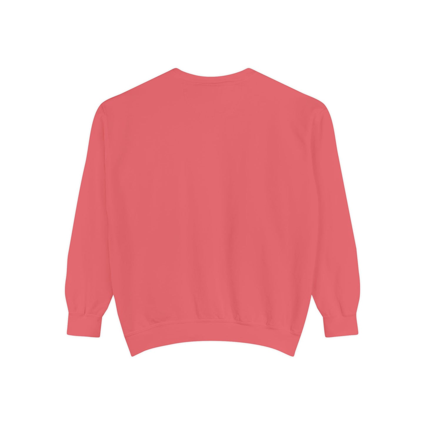 BalerinaNebula Sweatshirt