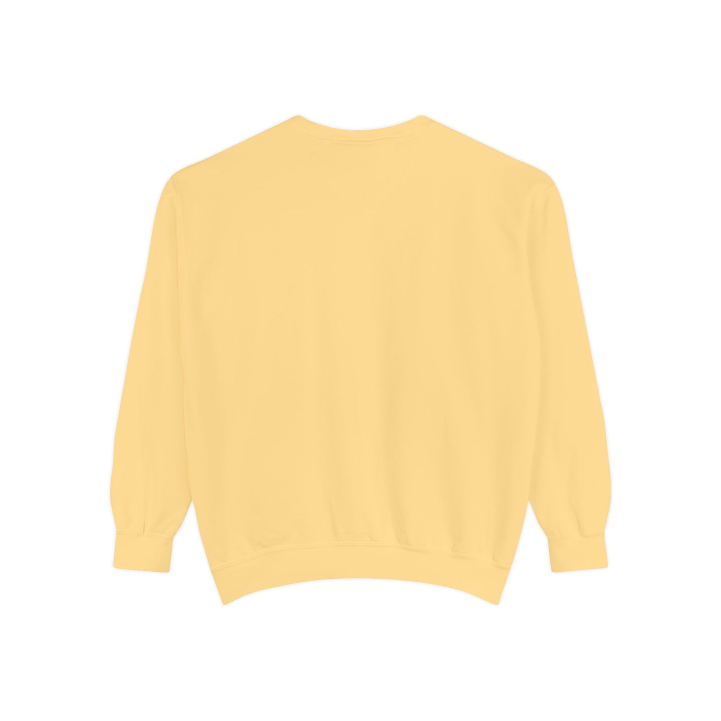BalerinaNebula Sweatshirt