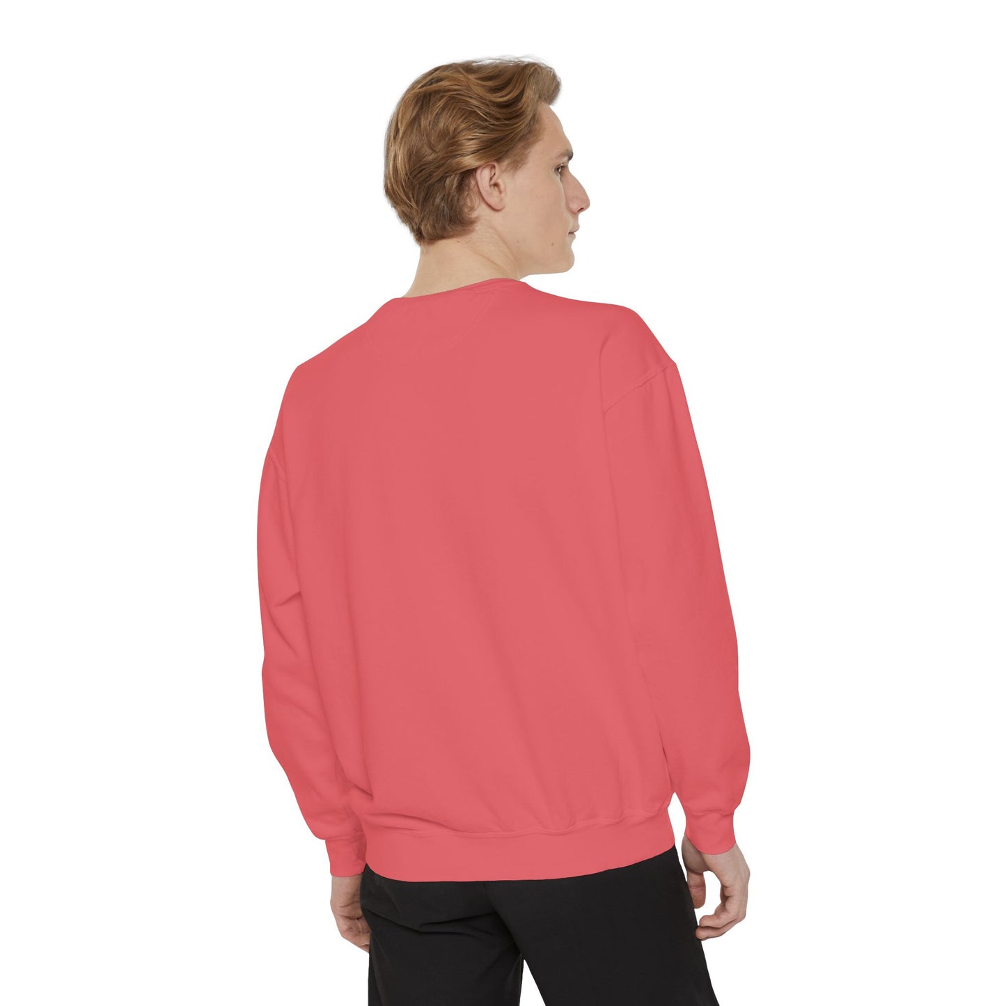 BalerinaNebula Sweatshirt