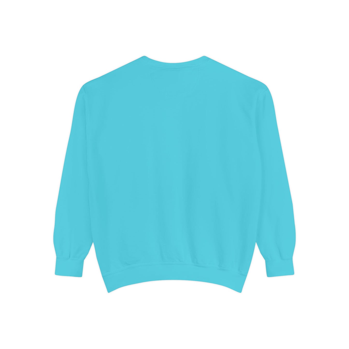 BalerinaNebula Sweatshirt