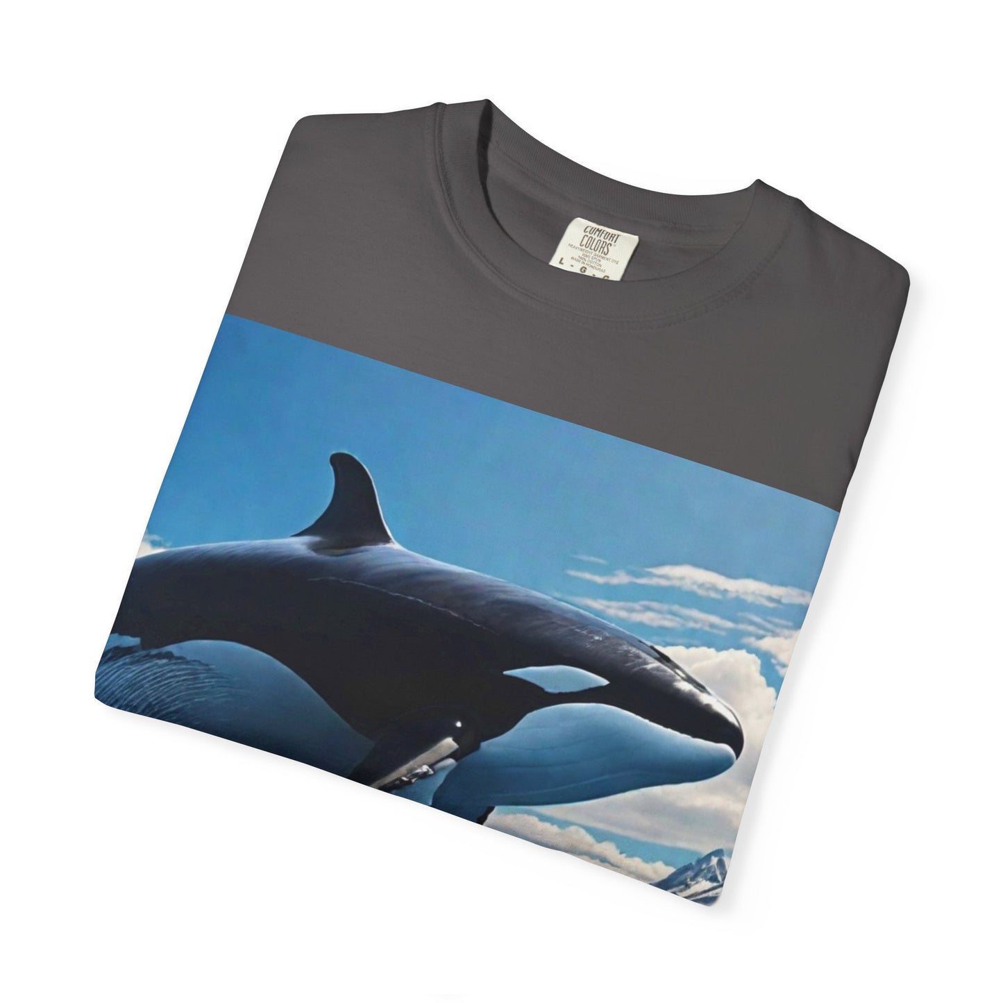 FlyerThanFlyingSaucers