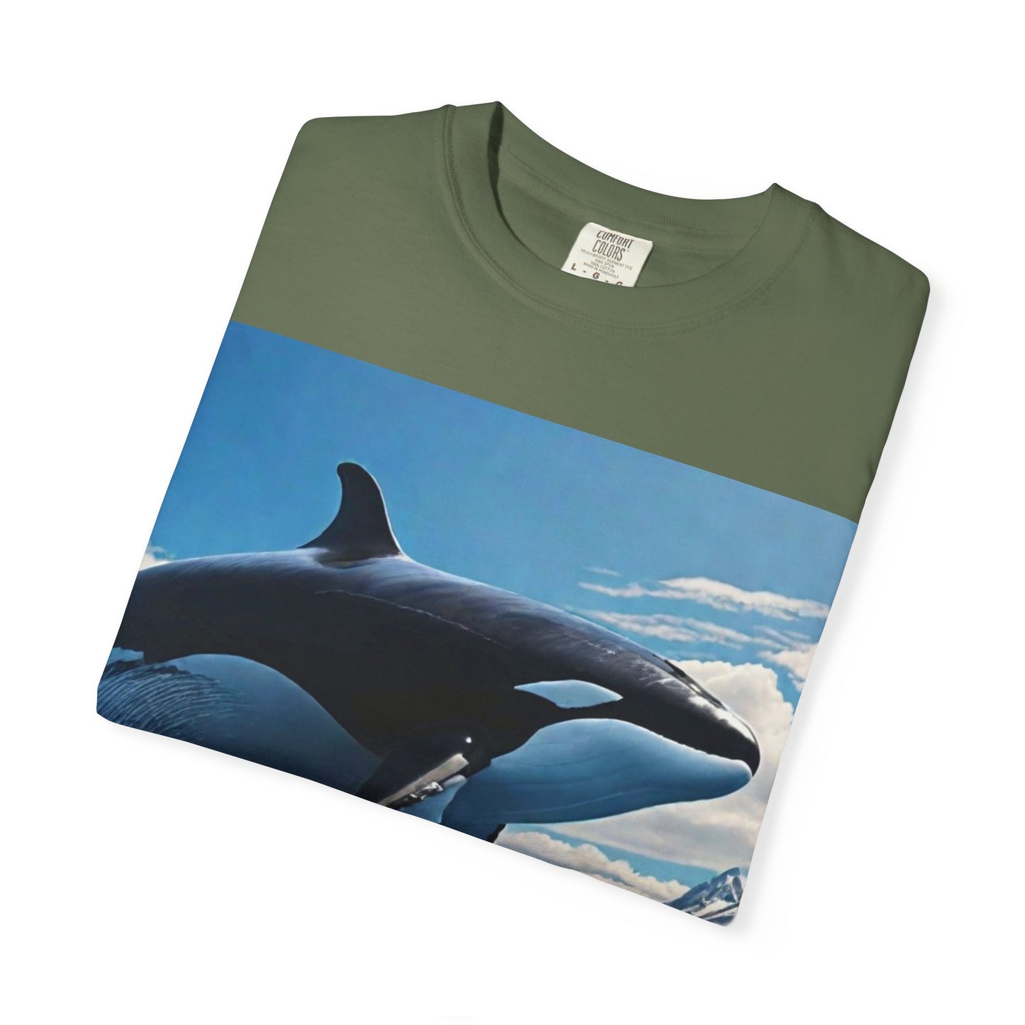 FlyerThanFlyingSaucers