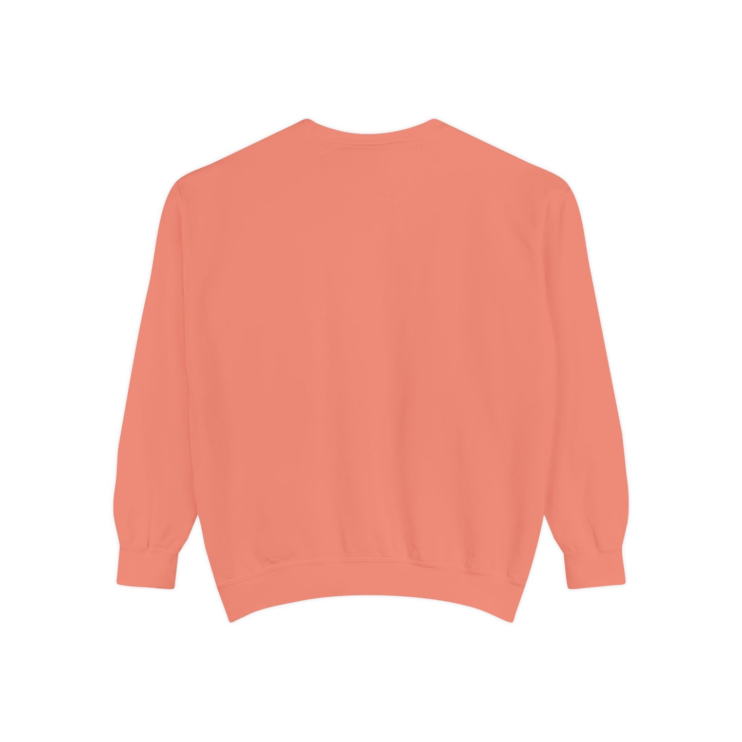 BalerinaNebula Sweatshirt