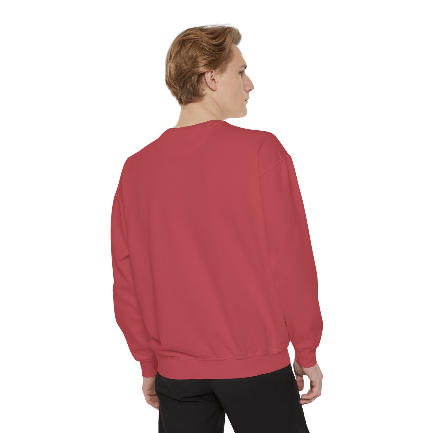 BalerinaNebula Sweatshirt