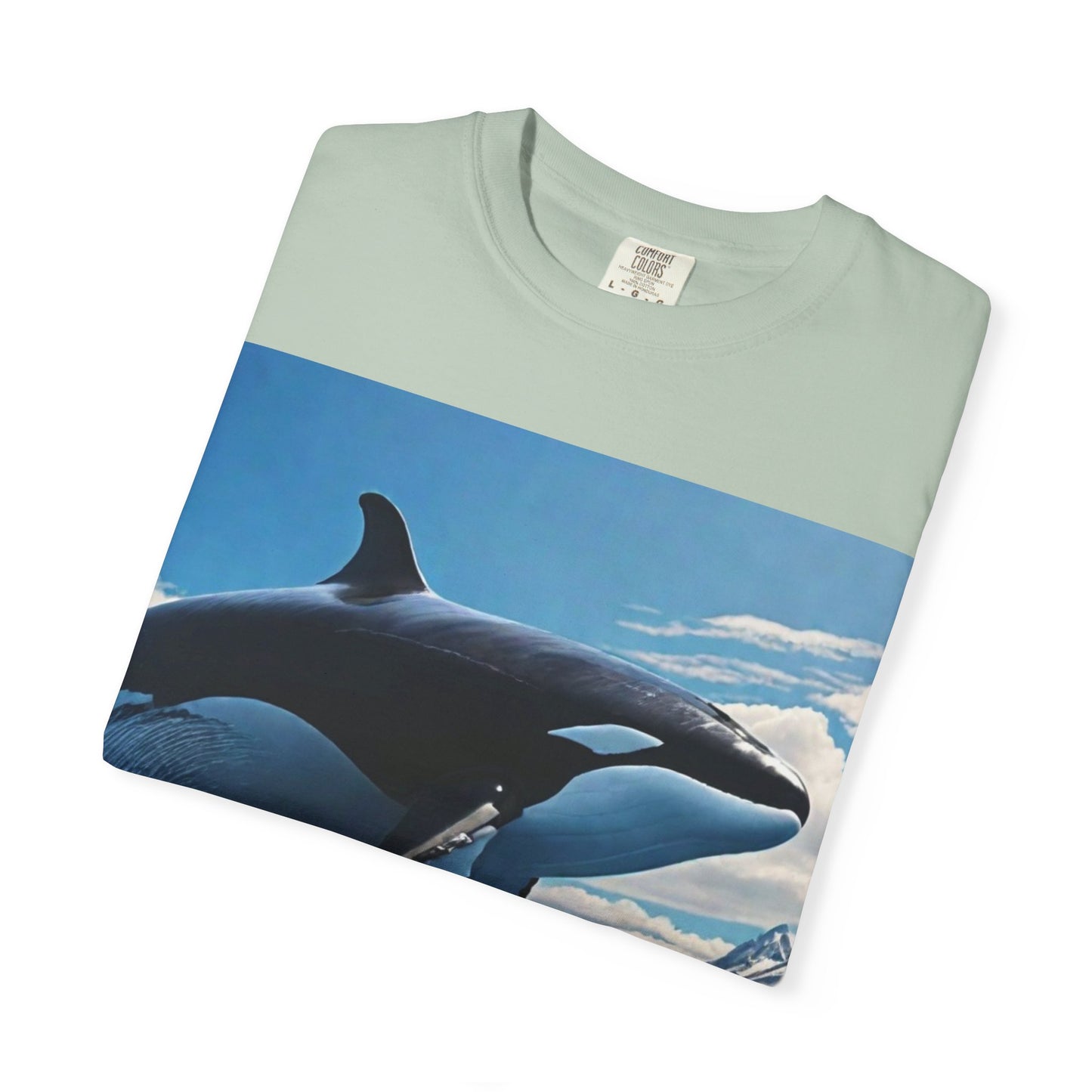 FlyerThanFlyingSaucers
