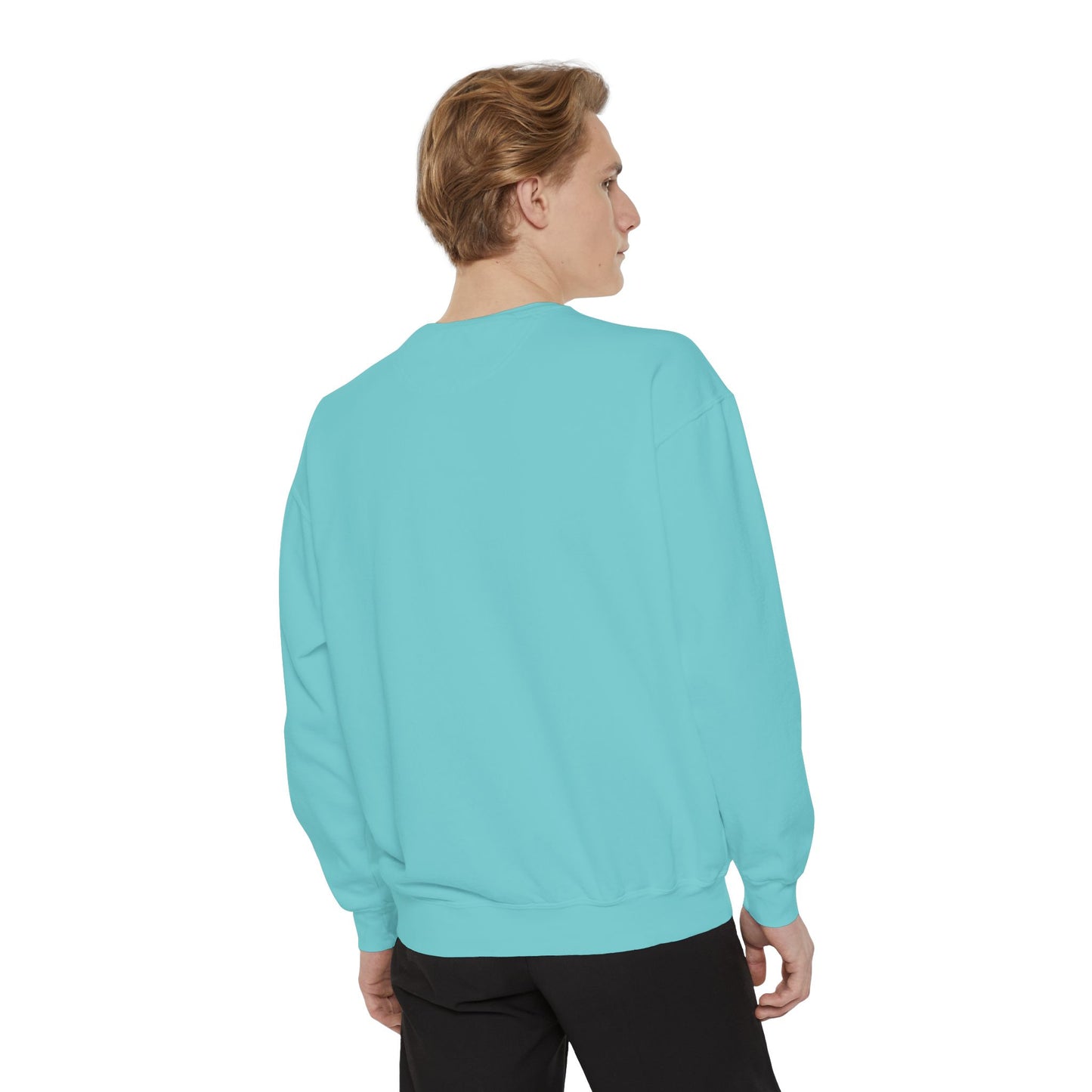 BalerinaNebula Sweatshirt